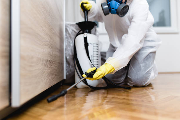 Best Termite Control Services  in Simi Valley, CA