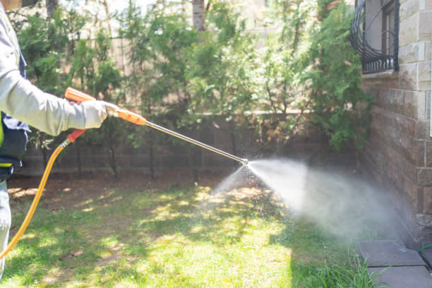 Best Flea Control Services  in Simi Valley, CA