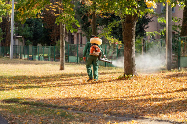 Best Bed Bug Extermination  in Simi Valley, CA
