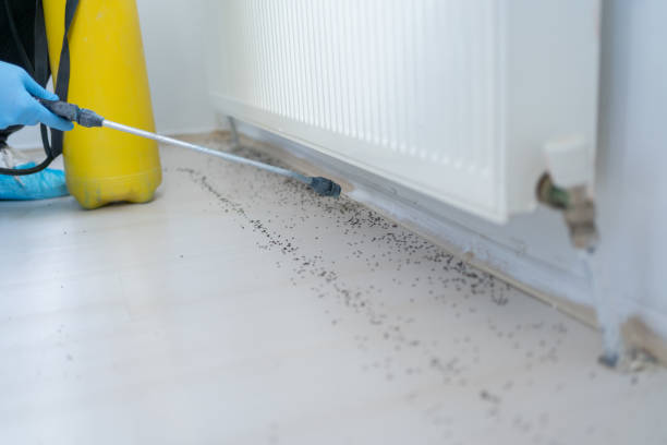 Best Commercial Pest Control Services  in Simi Valley, CA